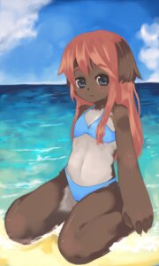 Rating: Questionable Score: 0 Tags: 3:5 anthro beach bikini canid canine canis clothed clothing cloud detailed_background domestic_dog e621 female hair havemoon long_hair mammal outside pink_hair sand sea seaside skimpy sky solo swimwear two-piece_swimsuit water young young_anthro young_female yuneri User: bunchy7s Rating: Questionable Score: 0 Tags: 3:5 anthro beach bikini canid canine canis clothed clothing cloud detailed_background domestic_dog e621 female hair havemoon long_hair mammal outside pink_hair sand sea seaside skimpy sky solo swimwear two-piece_swimsuit water young young_anthro young_female yuneri User: bunchy7s