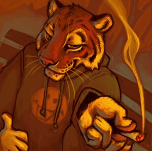 Rating: Safe Score: 0 Tags: anthro cigarette clothing drawstring drawstring_topwear drugs dutch_angle e621 felid foreshortening high-angle_view hoodie knotted_cord_end male mammal marijuana orange_theme pantherine shirt_logo smile smoke solo ssirrus tiger topwear warm_colors whiskers User: bunchy7s