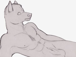 Rating: Explicit Score: 0 Tags: abs animal_genitalia anthro canid canine canis e621 fully_sheathed genitals grammarshinehyena line_art male mammal nameless sheath sketch solo wolf User: bunchy7s