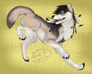 Rating: Safe Score: 0 Tags: 5:4 blue_eyes brown_body brown_fur brown_hair canid canine canis claws dreadlocks e621 feathers feral fur grey_body grey_fur hair happy hashire long_hair male mammal pawpads paws playful smile solo telkop white_body white_fur wolf User: bunchy7s
