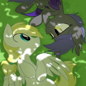 Rating: Safe Score: 0 Tags: 1:1 2013 blonde_hair blue_eyes cloud_skipper_(mlp) duo e621 equid equine eye_contact fan_character feathered_wings feathers female feral friendship_is_magic goatanimedatingsim grass hair hasbro hi_res long_hair looking_at_another lying male mammal membrane_(anatomy) membranous_wings midnight_blossom my_little_pony mythological_creature mythological_equine mythology pegasus plant royal_guard_(mlp) shadow small_wings smile white_body white_feathers wings yellow_eyes User: bunchy7s