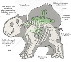 Rating: Safe Score: 0 Tags: alternate_version_at_source ambiguous_gender anatomy biological_illustration bone bulbasaur e621 elemental_creature english_text feral flora_fauna generation_1_pokemon internal joshd1000 model_sheet nintendo pelvis plant pokemon pokemon_(species) quadruped rib_cage scalie science skeleton solo species_sheet spine technical_illustration text zoological_illustration User: bunchy7s