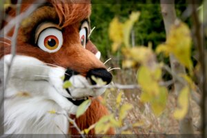 Rating: Safe Score: 0 Tags: 2009 anthro canid canine clothed clothing costume dalefox e621 flower fox fursuit grandfathered_content male mammal nature oklacon outside plant real red_fox solo true_fox zephyrpanthur User: bunchy7s