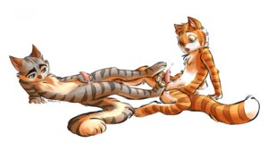 Rating: Explicit Score: 0 Tags: 2013 4_toes anthro anthro_on_anthro balls bodily_fluids calvin_mcmurray claws countershading cousins_(lore) cum cumshot domestic_cat duo e621 ejaculation erection feet felid feline felis foot_fetish foot_play footjob fur genital_fluids genitals humanoid_genitalia humanoid_penis incest_(lore) intraspecies lackadaisy lying male male/male mammal masturbation moan mossysnakes nude on_back open_mouth orgasm pawpads paws penile penile_masturbation penis precum rocky_rickaby sex simple_background sitting spread_legs spreading tail therabbitd toes white_background User: bunchy7s