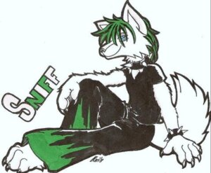 Rating: Safe Score: 0 Tags: 4_toes 5_fingers alternative_fashion anthro barefoot biped black_collar blue_eyes bottomwear bracelet canid canine canis character_name claws clothed clothing collar e621 feet fingers fully_clothed fur green_hair hair hand_on_leg hellgoddess jewelry leather looking_aside looking_at_viewer male mammal oversized_bottomwear oversized_clothing oversized_pants pants rave_pants shirt short_hair side_view simple_background smile sniff_heinkel solo spiked_bracelet spiked_collar spikes tail text toes topwear white_background white_body white_fur wolf User: bunchy7s