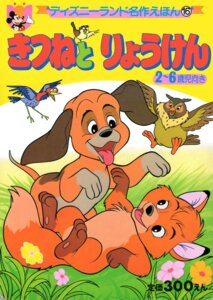Rating: Safe Score: 0 Tags: ambiguous_gender avian big_mama_(tfath) bird bloodhound boomer_(tfath) canid canine canis child children's_book copper_(tfath) dinky_(tfath) dipstick_tail disney domestic_dog e621 feral fox grandfathered_content group hunting_dog japanese_text male mammal markings mickey_mouse mouse murid murine oscine owl passerine picid piciform quadruped red_fox rodent scent_hound sparrow tail tail_markings text the_fox_and_the_hound tod_(tfath) translated true_fox unknown_artist woodpecker young young_feral User: bunchy7s