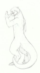 Rating: Safe Score: 0 Tags: anthro biped conditional_dnp e621 feet full-length_portrait fur graphite_(artwork) greyscale hindpaw male mammal membrane_(anatomy) monochrome mustelid nude otter otterface paws portrait pose sefeiren solo standing tail traditional_media_(artwork) webbed_hands whiskers User: bunchy7s Rating: Safe Score: 0 Tags: anthro biped conditional_dnp e621 feet full-length_portrait fur graphite_(artwork) greyscale hindpaw male mammal membrane_(anatomy) monochrome mustelid nude otter otterface paws portrait pose sefeiren solo standing tail traditional_media_(artwork) webbed_hands whiskers User: bunchy7s