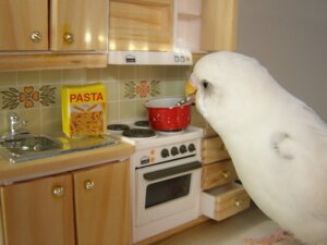 Rating: Safe Score: 0 Tags: 4:3 ambiguous_gender avian beak bird budgerigar cooking displacement e621 feral food grandfathered_content japanese_bird_cooking_spaghetti kitchen loriine macaroni parakeet parrot pasta real solo true_parrot unknown_artist what User: bunchy7s Rating: Safe Score: 0 Tags: 4:3 ambiguous_gender avian beak bird budgerigar cooking displacement e621 feral food grandfathered_content japanese_bird_cooking_spaghetti kitchen loriine macaroni parakeet parrot pasta real solo true_parrot unknown_artist what User: bunchy7s