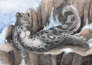 Rating: Safe Score: 0 Tags: anthro blackdiaraikia breasts detailed detailed_background e621 featureless_breasts featureless_crotch felid female front_view leopard_spots lying mammal mountain nude on_side outside pantherine sky snow snow_leopard solo spots tail toony User: bunchy7s