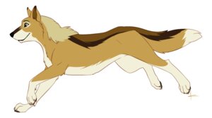 Rating: Safe Score: 0 Tags: brown_eyes canid canine canis digitigrade e621 female feral knon mammal quadruped running simple_background solo tail white_background wolf User: bunchy7s