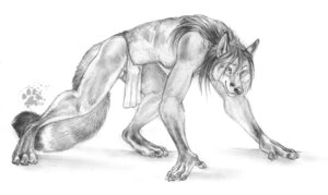 Rating: Explicit Score: 0 Tags: 2009 all_fours animal_genitalia anthro balls biped blotch bottomwear canid canine claws clothing digitigrade e621 feet fluffy fluffy_tail fully_sheathed genitals hair hindpaw loincloth male mammal monochrome pawpads paws scratches_volume_3 sheath simple_background solo tail toe_claws traditional_media_(artwork) translucent translucent_clothing white_background User: bunchy7s