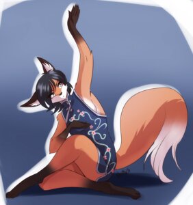 Rating: Safe Score: 0 Tags: 2014 4_toes anthro asian_clothing barefoot canid canine chinese_clothing chinese_dress clothing digitigrade dress e621 east_asian_clothing feet female fox gradient_background grey_eyes hair kung_fu mammal shizuka short_hair simple_background solo toes whitephox User: bunchy7s