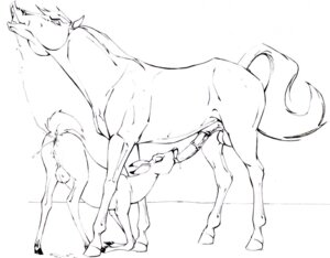 Rating: Explicit Score: 0 Tags: balls bambi_(film) crossover deer disney dreamworks equine faline female feral feral_on_feral furry horse klaus_doberman male monochrome penis pussy rule34 spirit:_stallion_of_the_cimarron spirit_(character) testicles User: bunchy7s Rating: Explicit Score: 0 Tags: balls bambi_(film) crossover deer disney dreamworks equine faline female feral feral_on_feral furry horse klaus_doberman male monochrome penis pussy rule34 spirit:_stallion_of_the_cimarron spirit_(character) testicles User: bunchy7s