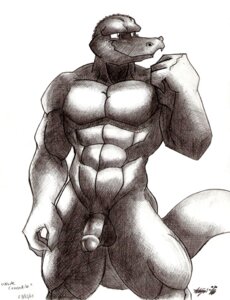 Rating: Explicit Score: 0 Tags: 2005 abs anthro balls circumcised crocodile crocodilian david_(michelangelo) e621 fangs flaccid front_view genitals greyscale humanoid_genitalia humanoid_penis inspired_by_formal_art looking_away male monochrome muscular muscular_anthro muscular_male nude pecs penis pose reptile rthur scalie shaded simple_background smile soft_shading solo tail teeth white_background User: bunchy7s
