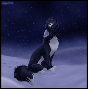 Rating: Safe Score: 0 Tags: 2003 black_border border canid canine canis cool_colors detailed_background e621 female feral looking_up mammal night outside shayde_(artist) snow solo tail toony wolf User: bunchy7s Rating: Safe Score: 0 Tags: 2003 black_border border canid canine canis cool_colors detailed_background e621 female feral looking_up mammal night outside shayde_(artist) snow solo tail toony wolf User: bunchy7s