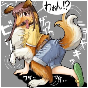 Rating: Safe Score: 0 Tags: 1:1 2005 belt bodily_fluids border_collie bottomwear canid canine canis claws clothing collie domestic_dog e621 edmol female feral_transformation fur growth herding_dog human_to_feral japanese_text mammal open_mouth pants pastoral_dog sheepdog shirt solo species_transformation sweat tail tail_growth teeth text tongue tongue_out topwear transformation translation_request User: bunchy7s Rating: Safe Score: 0 Tags: 1:1 2005 belt bodily_fluids border_collie bottomwear canid canine canis claws clothing collie domestic_dog e621 edmol female feral_transformation fur growth herding_dog human_to_feral japanese_text mammal open_mouth pants pastoral_dog sheepdog shirt solo species_transformation sweat tail tail_growth teeth text tongue tongue_out topwear transformation translation_request User: bunchy7s