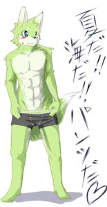 Rating: Questionable Score: 0 Tags: 2013 abs anthro athletic athletic_anthro athletic_male basil_(pixiv) black_boxer_briefs black_clothing black_underwear blush boxer_briefs canid canine canis clothed clothing e621 fur green_body green_fur green_seam_boxer_briefs green_waistband heart_symbol hi_res japanese_text male mammal simple_background solo standing sum_kemono text topless translated underwear underwear_only white_background wolf User: bunchy7s