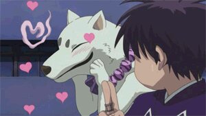 Rating: Safe Score: 0 Tags: 2d_animation animated animated_gif ayakashi blush canid canine canis domestic_dog duo e621 eyes_closed feral fur grandfathered_content heart_symbol human kekkaishi loop low_res madarao_(kekkaishi) male mammal screencap short_playtime smile unknown_artist white_body white_fur yoshimori User: bunchy7s
