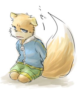 Rating: Safe Score: 0 Tags: anthro conker conker's_bad_fur_day e621 kemono male mammal rareware rodent sciurid solo tail tree_squirrel young young_anthro セイ User: bunchy7s