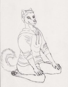Rating: Explicit Score: 0 Tags: 4_toes animal_genitalia animal_penis anthro balls biped black_and_white bottomless butt canid canine canine_genitalia canine_penis claws clothed clothing digitigrade e621 feet flaccid genitals hi_res hindpaw kneeling looking_at_viewer male mammal monochrome paws penis semiotica sheath solo spread_legs spreading sweater tail toes topwear User: bunchy7s