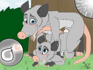 Rating: Explicit Score: 0 Tags: 2012 4:3 american_opossum animal_genitalia blush bodily_fluids breath child cum cum_in_uterus cum_in_vagina cum_inside cumshot daughter_(lore) dreamworks duo e621 ejaculation erection father_(lore) father_and_child_(lore) father_and_daughter_(lore) female female_penetrated feral feral_on_feral genital_fluids genitals happy happy_sex heather_(over_the_hedge) hi_res impregnation impregnation_view inbreeding incest_(lore) internal male male/female male_penetrating male_penetrating_female mammal marsupial open_mouth orgasm over_the_hedge ovum ozzie_(over_the_hedge) parent_(lore) parent_and_child_(lore) parent_and_daughter_(lore) penetration penile penile_penetration penis penis_in_vagina sex sheath spartan367 sperm_cell tail tongue uterus vaginal vaginal_penetration virginia_opossum vulva young User: bunchy7s