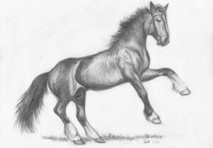 Rating: Explicit Score: 0 Tags: animal_genitalia balls bridle e621 equid equine feral foxia genitals graphite_(artwork) grass grey_sclera greyscale hooves horse leg_markings looking_at_viewer male mammal markings monochrome no_pupils on_hind_legs plant quadruped sheath socks_(marking) solo traditional_media_(artwork) User: bunchy7s Rating: Explicit Score: 0 Tags: animal_genitalia balls bridle e621 equid equine feral foxia genitals graphite_(artwork) grass grey_sclera greyscale hooves horse leg_markings looking_at_viewer male mammal markings monochrome no_pupils on_hind_legs plant quadruped sheath socks_(marking) solo traditional_media_(artwork) User: bunchy7s
