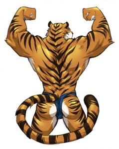 Rating: Questionable Score: 0 Tags: 2011 anthro biceps big_muscles biped butt clothed clothing e621 felid flexing fur green_eyes hi_res kokukokuboo looking_at_viewer looking_back looking_back_at_viewer male mammal muscular muscular_anthro muscular_male orange_body orange_fur pantherine partran_(tiger) pose rear_view simple_background smile solo speedo standing stripes swimwear tail tiger topless white_background User: bunchy7s Rating: Questionable Score: 0 Tags: 2011 anthro biceps big_muscles biped butt clothed clothing e621 felid flexing fur green_eyes hi_res kokukokuboo looking_at_viewer looking_back looking_back_at_viewer male mammal muscular muscular_anthro muscular_male orange_body orange_fur pantherine partran_(tiger) pose rear_view simple_background smile solo speedo standing stripes swimwear tail tiger topless white_background User: bunchy7s