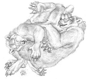 Rating: Explicit Score: 0 Tags: 2008 69_position animal_genitalia bear blotch duo e621 erection fellatio feral genitals greyscale happy happy_sex male male/male male_penetrated male_penetrating male_penetrating_male mammal monochrome oral oral_penetration overweight penetration penile penis scratches_volume_2 sex tea_bagging traditional_media_(artwork) User: bunchy7s