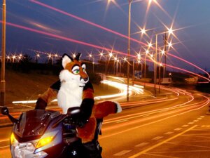 Rating: Safe Score: 0 Tags: 4:3 anthro billboard canid canine clothing costume crygus detailed_background e621 fox fursuit grandfathered_content green_eyes headlight male mammal motorcycle night photography_(artwork) real road solo street street_lamp unknown_artist vehicle User: bunchy7s Rating: Safe Score: 0 Tags: 4:3 anthro billboard canid canine clothing costume crygus detailed_background e621 fox fursuit grandfathered_content green_eyes headlight male mammal motorcycle night photography_(artwork) real road solo street street_lamp unknown_artist vehicle User: bunchy7s