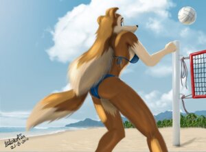 Rating: Questionable Score: 0 Tags: 2010 anthro ball beach bikini biped black_nose blakefox blue_eyes brown_body brown_fur brown_hair canid canine canis clothed clothing cloud colleen_(road_rovers) collie detailed_background domestic_dog e621 female fluffy fluffy_tail fur gloves_(marking) hair herding_dog long_hair looking_at_viewer looking_back mammal markings mountain net outside pastoral_dog plant road_rovers sand seaside sheepdog sky solo sport standing swimwear tail tree two-piece_swimsuit volleyball volleyball_(ball) volleyball_net water User: bunchy7s