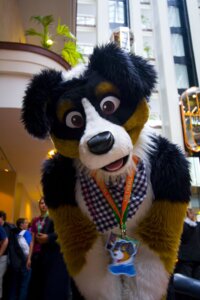 Rating: Safe Score: 0 Tags: anthro canid canine canis character_badge_(object) clothing convention costume domestic_dog e621 event_badge fursuit grandfathered_content hi_res kerchief lanyard looking_at_viewer male mammal mixed_candy noodles_(noodle_soup) purple_eyes real solo tongue User: bunchy7s
