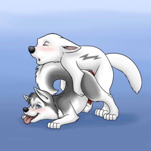 Rating: Explicit Score: 0 Tags: 1:1 2009 all_fours anal anal_penetration ass_up blush bolt_(bolt) bolt_(film) canid canine canis disney doggystyle domestic_dog duo e621 erection feral feral_on_feral from_behind_position genitals german_shepherd herding_dog husky knot lying male male/male male_penetrated male_penetrating male_penetrating_male mammal nateday nordic_sled_dog nude on_front pastoral_dog penetration penis raised_tail sex spitz tail tongue toony User: bunchy7s Rating: Explicit Score: 0 Tags: 1:1 2009 all_fours anal anal_penetration ass_up blush bolt_(bolt) bolt_(film) canid canine canis disney doggystyle domestic_dog duo e621 erection feral feral_on_feral from_behind_position genitals german_shepherd herding_dog husky knot lying male male/male male_penetrated male_penetrating male_penetrating_male mammal nateday nordic_sled_dog nude on_front pastoral_dog penetration penis raised_tail sex spitz tail tongue toony User: bunchy7s
