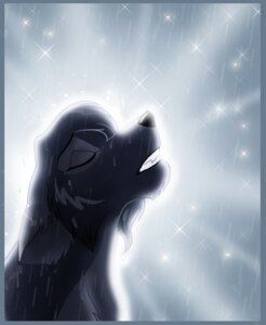 Rating: Safe Score: 0 Tags: canid canine canis e621 female feral mammal outside raining shayde_(artist) simple_background solo toony water wet wolf User: bunchy7s Rating: Safe Score: 0 Tags: canid canine canis e621 female feral mammal outside raining shayde_(artist) simple_background solo toony water wet wolf User: bunchy7s
