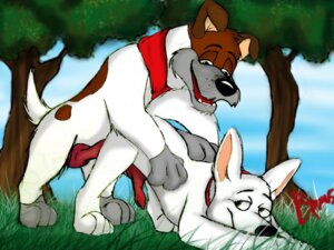 Rating: Explicit Score: 0 Tags: anal_sex anatomically_correct ass ass_up bolt_(bolt) bolt_(film) buggery canine color crossover disney dodger_(oliver_and_company) doggy_style feral feral_on_feral fur furry furry_only gay knot male male_only multiple_males no_humans oliver_and_company penis rule34 sex yaoi User: bunchy7s