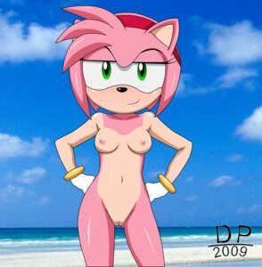 Rating: Explicit Score: 0 Tags: amy_rose anthro beach breasts dp_(artist) e621 eulipotyphlan female hedgehog hi_res mammal nipples outside pink_body seaside sega sky solo sonic_the_hedgehog_(series) User: bunchy7s