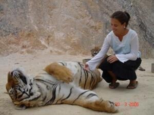 Rating: Safe Score: 0 Tags: 2006 4:3 clothed clothing compression_artifacts duo_focus e621 felid female feral fur grandfathered_content group human mammal pantherine real striped_body striped_fur stripes tiger unknown_artist User: bunchy7s Rating: Safe Score: 0 Tags: 2006 4:3 clothed clothing compression_artifacts duo_focus e621 felid female feral fur grandfathered_content group human mammal pantherine real striped_body striped_fur stripes tiger unknown_artist User: bunchy7s