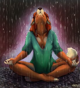 Rating: Safe Score: 0 Tags: 2011 anthro aura biped breasts canid canine canis crosslegged_pose deep_cleavage domestic_dog e621 female glowing kappy mammal meditation medium_breasts mudra outside raining sitting solo spiritual spirituality tail water wet User: bunchy7s