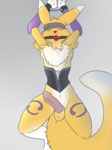 Rating: Explicit Score: 0 Tags: 1boy anthro balls blindfold bound canid canine clothes color digimon digimon_(species) fox fur furry gag male male_digimon male_only male_renamon penis renamon rule34 solo solo_male tagme tail User: bunchy7s