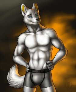 Rating: Questionable Score: 0 Tags: 2013 5_fingers abs anthro athletic biceps biped blue_eyes boxer_briefs bulge canid canine canis claws clothed clothing digital_media_(artwork) domestic_dog e621 fingers front_view fur green_eyes grey_body grey_fur grin hands_on_hips heterochromia hi_res inner_ear_fluff looking_at_viewer male mammal muscular muscular_anthro muscular_male pecs pinup portrait pose simple_background skimpy smile solo standing tail three-quarter_portrait topless tuft underwear vallhound white_body white_fur User: bunchy7s