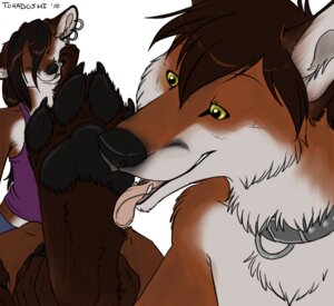 Rating: Questionable Score: 0 Tags: 2010 4_toes anthro black_nose black_pawpads bottomwear brown_hair canid canine claws close-up clothed clothing collar digital_media_(artwork) digitigrade duo e621 ear_piercing feet female foot_fetish foot_focus foot_lick foot_play fox fur hair hindpaw licking male mammal matthew_(red_fox25) multicolored_body multicolored_fur orange_body orange_fur pawpads paws piercing shirt shorts simple_background soles tank_top toe_claws toes tongue tongue_out topless topwear toradoshi two_tone_body two_tone_fur white_background white_body white_fur yellow_eyes User: bunchy7s Rating: Questionable Score: 0 Tags: 2010 4_toes anthro black_nose black_pawpads bottomwear brown_hair canid canine claws close-up clothed clothing collar digital_media_(artwork) digitigrade duo e621 ear_piercing feet female foot_fetish foot_focus foot_lick foot_play fox fur hair hindpaw licking male mammal matthew_(red_fox25) multicolored_body multicolored_fur orange_body orange_fur pawpads paws piercing shirt shorts simple_background soles tank_top toe_claws toes tongue tongue_out topless topwear toradoshi two_tone_body two_tone_fur white_background white_body white_fur yellow_eyes User: bunchy7s