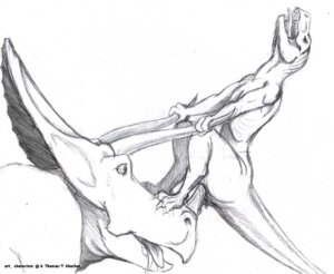 Rating: Explicit Score: 0 Tags: 3_horns ambiguous_gender ambiguous_penetrating ambiguous_penetrating_female ambiguous_slit animal_genitalia anthro anthro_on_feral anthro_penetrated anus bestiality biped bodily_fluids bone_frill ceratopsian ceratopsid chasmosaurine cum dharken dinosaur dromaeosaurid duo e621 eyes_closed facial_horn female female/ambiguous female_penetrated feral feral_penetrating feral_penetrating_anthro flat_chested frill_(anatomy) genital_fluids genitals happy happy_sex head_horn horn horn_fetish horn_grab horn_in_pussy horn_penetration horn_play horn_sex interspecies looking_pleasured marginocephalian monochrome multi_horn nose_horn nude open_mouth ornithischian penetration prehistoric_species reptile saurischian scalie semi-anthro sex size_difference smaller_on_top snout tail teeth theropod tongue tongue_out triceratops vaginal vaginal_penetration velociraptor vulva User: bunchy7s