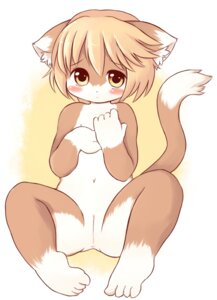Rating: Explicit Score: 0 Tags: akitaka anthro anus biped blush brown_hair countershading domestic_cat e621 felid feline felis female genitals hair loli looking_at_viewer mammal navel nude short_hair simple_background solo tail vulva white_background young young_anthro young_female User: bunchy7s