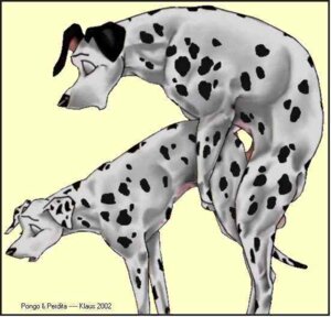 Rating: Explicit Score: 0 Tags: 101_dalmatians 2002 ahegao all_fours canid canine canis canon_couple compression_artifacts dalmatian disney doggystyle domestic_dog duo e621 eyes_closed female female_penetrated feral feral_on_feral feral_penetrated feral_penetrating feral_penetrating_feral floppy_ears from_behind_position klaus_doberman looking_pleasured male male/female male_penetrating male_penetrating_female mammal mounting open_mouth penetration perdita pongo quadruped sex side_view simple_background spots tail white_background User: bunchy7s Rating: Explicit Score: 0 Tags: 101_dalmatians 2002 ahegao all_fours canid canine canis canon_couple compression_artifacts dalmatian disney doggystyle domestic_dog duo e621 eyes_closed female female_penetrated feral feral_on_feral feral_penetrated feral_penetrating feral_penetrating_feral floppy_ears from_behind_position klaus_doberman looking_pleasured male male/female male_penetrating male_penetrating_female mammal mounting open_mouth penetration perdita pongo quadruped sex side_view simple_background spots tail white_background User: bunchy7s