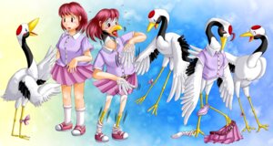 Rating: Safe Score: 0 Tags: ambiguous_gender avian base_one_layout basic_sequence beak bird bottomwear claws clothed clothing crane_(bird) duo e621 edmol feathered_wings feathers female feral footwear fully_clothed growth gruiform grus_(genus) human legwear linear_sequence mammal one_row_layout red-crowned_crane sequence shirt shoes skirt socks species_transformation three_frame_image three_frame_sequence topwear transformation transformation_sequence underwear wing_growth wings User: bunchy7s