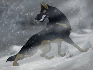 Rating: Explicit Score: 0 Tags: animal_genitalia canid canine canis domestic_dog e621 enriquecer feral fully_sheathed genitals german_shepherd growling herding_dog male mammal outside pastoral_dog sheath snow snowing solo streetdog teeth winter User: bunchy7s Rating: Explicit Score: 0 Tags: animal_genitalia canid canine canis domestic_dog e621 enriquecer feral fully_sheathed genitals german_shepherd growling herding_dog male mammal outside pastoral_dog sheath snow snowing solo streetdog teeth winter User: bunchy7s