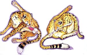 Rating: Explicit Score: 0 Tags: 2009 anus anyare balls cheetah duo e621 erection felid feline female feral genitals jasiri khisa licking male male/female mammal marker_(artwork) nude penile_spines penis simple_background spread_legs spreading tail tail_anus tongue tongue_out traditional_media_(artwork) vulva white_background User: bunchy7s