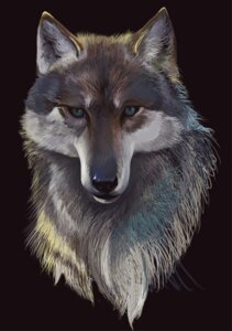 Rating: Safe Score: 0 Tags: ambiguous_gender black_background bust_portrait canid canine canis e621 feral fur green_eyes grey_body grey_fur looking_at_viewer mammal nio_nio portrait simple_background solo wolf User: bunchy7s Rating: Safe Score: 0 Tags: ambiguous_gender black_background bust_portrait canid canine canis e621 feral fur green_eyes grey_body grey_fur looking_at_viewer mammal nio_nio portrait simple_background solo wolf User: bunchy7s