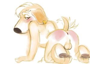 Rating: Explicit Score: 0 Tags: amber_eyes anthro anus balls canid canine canis domestic_dog e621 ear_piercing family_guy fel genitals jasper_(family_guy) looking_at_viewer male mammal nude piercing simple_background solo white_background User: bunchy7s Rating: Explicit Score: 0 Tags: amber_eyes anthro anus balls canid canine canis domestic_dog e621 ear_piercing family_guy fel genitals jasper_(family_guy) looking_at_viewer male mammal nude piercing simple_background solo white_background User: bunchy7s