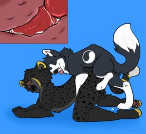 Rating: Explicit Score: 0 Tags: anal anal_knotting anal_penetration anthro anthro_on_feral anthro_penetrated bestiality bodily_fluids canid canine canis cheetah cum cum_inside domestic_dog duo e621 erection felid feline feral feral_penetrating feral_penetrating_anthro feral_penetrating_male genital_fluids genitals husky internal interspecies knot knotting leggothebooty male male/male male_on_anthro male_on_feral male_penetrated male_penetrating male_penetrating_male mammal nordic_sled_dog nude penetration penile penile_penetration penis penis_in_ass sex spitz User: bunchy7s