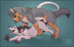 Rating: Explicit Score: 0 Tags: 2010 all_fours american_opossum brown_eyes canid canine canis doggystyle domestic_dog duo e621 erection eyes_closed female female_penetrated feral feral_on_feral from_behind_position genitals interspecies keovi looking_pleasured lying male male/female male_penetrating male_penetrating_female mammal marsupial on_front open_mouth open_smile penetration penile penile_penetration penis penis_in_vagina sepp sex smile tail tongue vaginal vaginal_penetration User: bunchy7s Rating: Explicit Score: 0 Tags: 2010 all_fours american_opossum brown_eyes canid canine canis doggystyle domestic_dog duo e621 erection eyes_closed female female_penetrated feral feral_on_feral from_behind_position genitals interspecies keovi looking_pleasured lying male male/female male_penetrating male_penetrating_female mammal marsupial on_front open_mouth open_smile penetration penile penile_penetration penis penis_in_vagina sepp sex smile tail tongue vaginal vaginal_penetration User: bunchy7s